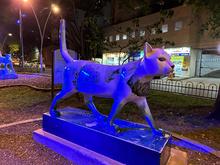 El azul brillar&aacute; en nueve hitos ornamentales de Santiago de Cali para celebrar el D&iacute;a del Padre