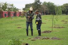 Participa en las siembras masivas de &aacute;rboles y ayuda a fortalecer los bosques urbanos de &lsquo;Cali, Capital Pac&iacute;fica de Colombia&rsquo;