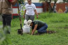 Participa en las siembras masivas de &aacute;rboles y ayuda a fortalecer los bosques urbanos de &lsquo;Cali, Capital Pac&iacute;fica de Colombia&rsquo;