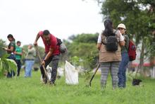 Participa en las siembras masivas de &aacute;rboles y ayuda a fortalecer los bosques urbanos de &lsquo;Cali, Capital Pac&iacute;fica de Colombia&rsquo;