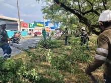 Brindar seguridad y mitigar el riesgo de inundaciones: objetivos de las intervenciones arb&oacute;reas que el Dagma realiza en El Caney