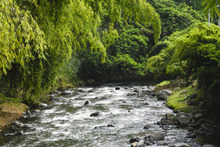 Visitantes de la COP 16 podr&aacute;n tener experiencias inolvidables  con especies end&eacute;micas y ex&oacute;ticas de la regi&oacute;n
