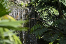 Visitantes de la COP 16 podr&aacute;n tener experiencias inolvidables  con especies end&eacute;micas y ex&oacute;ticas de la regi&oacute;n