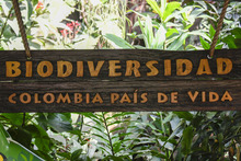 Visitantes de la COP 16 podr&aacute;n tener experiencias inolvidables  con especies end&eacute;micas y ex&oacute;ticas de la regi&oacute;n