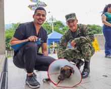 &lsquo;Negrita&rsquo;, la perrita atropellada que fue salvada por soldados del Ej&eacute;rcito  y profesionales del Centro de Bienestar Animal de Cali