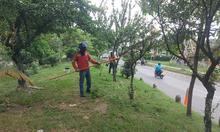 Volvamos a mi Cali Bella lleg&oacute; a la Comuna 14: 25.000 m&sup2; de &aacute;reas limpias y 120 m&sup3; de residuos recolectados