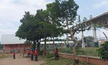 Volvamos a mi Cali Bella lleg&oacute; a la Comuna 14: 25.000 m&sup2; de &aacute;reas limpias y 120 m&sup3; de residuos recolectados