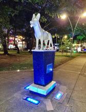 Siete lugares emblem&aacute;ticos de Cali se iluminaron en homenaje a las comunidades refugiadas y desplazadas