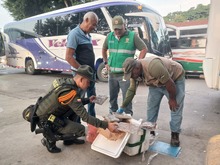 Dagma y Polic&iacute;a Ambiental despliegan controles al tr&aacute;fico de fauna: el m&aacute;s reciente operativo se realiz&oacute; en la Terminal de Transportes