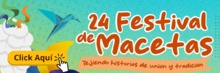 Banner Festival de Macetas