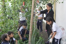 La huerta escolar de La Gran Colombia: una experiencia que conjuga el aprendizaje, la recuperaci&oacute;n y el sentido de pertenencia