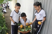 La huerta escolar de La Gran Colombia: una experiencia que conjuga el aprendizaje, la recuperaci&oacute;n y el sentido de pertenencia