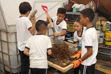 La huerta escolar de La Gran Colombia: una experiencia que conjuga el aprendizaje, la recuperaci&oacute;n y el sentido de pertenencia