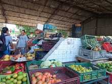 &iexcl;Atenci&oacute;n! Hasta el 31 de julio tienen plazo los grandes generadores para reportar el Sistema de Gesti&oacute;n Integral de Residuos S&oacute;lidos