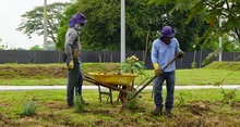 M&aacute;s de 12.000 metros cuadrados har&aacute;n parte del pulm&oacute;n verde del sur de Cali