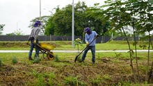 M&aacute;s de 12.000 metros cuadrados har&aacute;n parte del pulm&oacute;n verde del sur de Cali