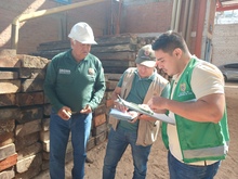 Contin&uacute;an las acciones del Dagma y la Polic&iacute;a Ambiental contra el tr&aacute;fico ilegal de flora silvestre