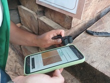 Contin&uacute;an las acciones del Dagma y la Polic&iacute;a Ambiental contra el tr&aacute;fico ilegal de flora silvestre