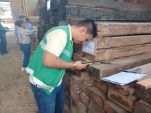 Contin&uacute;an las acciones del Dagma y la Polic&iacute;a Ambiental contra el tr&aacute;fico ilegal de flora silvestre