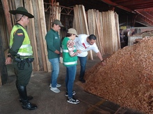 Contin&uacute;an las acciones del Dagma y la Polic&iacute;a Ambiental contra el tr&aacute;fico ilegal de flora silvestre