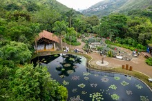 El Jard&iacute;n Bot&aacute;nico de Cali: Un oasis de biodiversidad esencial para la COP16