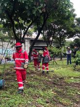El Puente de los Mil D&iacute;as y un canal de aguas lluvias del barrio El  Vergel quedaron limpios y bellos