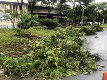 El Puente de los Mil D&iacute;as y un canal de aguas lluvias del barrio El  Vergel quedaron limpios y bellos