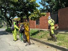  El corte de c&eacute;sped siempre ha estado activado en Cali: a la fecha se han intervenido 71 millones de metros cuadrados de zonas verdes