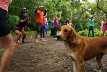 Caminata Rio Pance 16-06-2024  3
