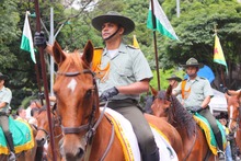 Cali se llen&oacute; de patriotismo: el 20 de julio miles de personas  acompa&ntilde;aron el desfile de la Fuerza P&uacute;blica