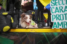 Cali se llen&oacute; de patriotismo: el 20 de julio miles de personas  acompa&ntilde;aron el desfile de la Fuerza P&uacute;blica