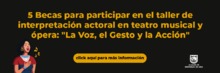 Banner becas