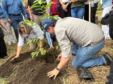 Alcald&iacute;a de Cali celebr&oacute; el D&iacute;a Nacional de Libertad Religiosa con siembra pedag&oacute;gica en el ecoparque de Pance 