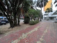 Tras la manifestaci&oacute;n pac&iacute;fica de la minga ind&iacute;gena, 30 &lsquo;Promotores Mi Cali Bella&rsquo; lideraron la limpieza en un sector del barrio Versalles