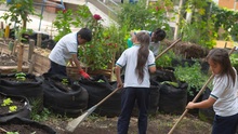 Estudiantes de la IEO General Jos&eacute; Mar&iacute;a Cabal refrendan su cari&ntilde;o por el medio ambiente a  trav&eacute;s del Aula Viva