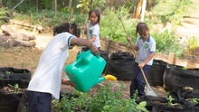 Estudiantes de la IEO General Jos&eacute; Mar&iacute;a Cabal refrendan su cari&ntilde;o por el medio ambiente a  trav&eacute;s del Aula Viva