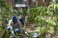 Nuestros comedores comunitarios son territorios de inclusi&oacute;n social y amor por el medio ambiente