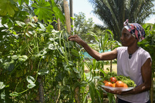 Nuestros comedores comunitarios son territorios de inclusi&oacute;n social y amor por el medio ambiente