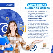 Banner auditor&iacute;as visibles 2