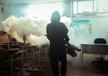 Encerrona al &lsquo;Patiblanco&rsquo;: estrategia contra el dengue da resultados en  Cali