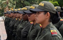 &lsquo;Plan Cali Segura&rsquo;: llegan nuevos 245 auxiliares  de polic&iacute;a para proteger a los cale&ntilde;os