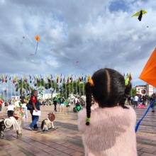 Agosto: mes de vientos y cometas tradicionales que vuelan con seguridad