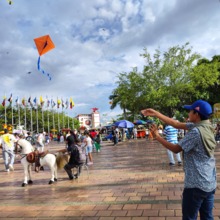 Agosto: mes de vientos y cometas tradicionales que vuelan con seguridad