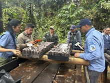 Personal del Dagma y Parques Nacionales se capacita en nueva tecnolog&iacute;a de mallas biodegradables para agricultura