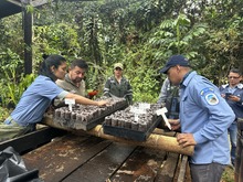 Personal del Dagma y Parques Nacionales se capacita en nueva tecnolog&iacute;a de mallas biodegradables para agricultura