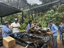 Personal del Dagma y Parques Nacionales se capacita en nueva tecnolog&iacute;a de mallas biodegradables para agricultura