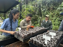 Personal del Dagma y Parques Nacionales se capacita en nueva tecnolog&iacute;a de mallas biodegradables para agricultura