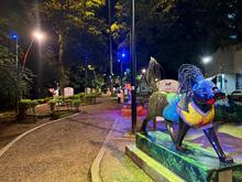 Diez hitos de Cali se iluminan de amarillo, azul y rojo para conmemorar la Batalla de Boyac&aacute;