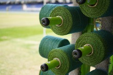 Avance de la gramilla h&iacute;brida 1