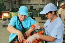 Gestores de los comedores comunitarios reciben cada 10 d&iacute;as insumos de calidad para garantizar su funcionamiento